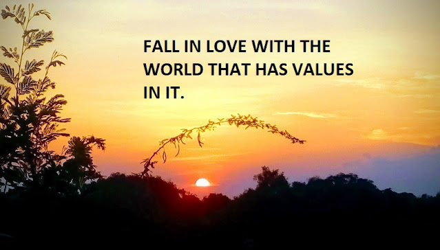 FALL IN LOVE WITH THE WORLD THAT HAS VALUES IN IT.