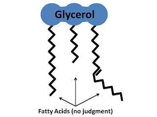 Triglyceride