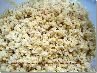recetas con semillas de mijo procesadas   1