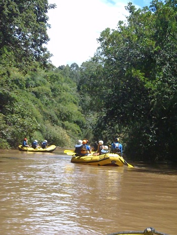 Radicao 10 (516)