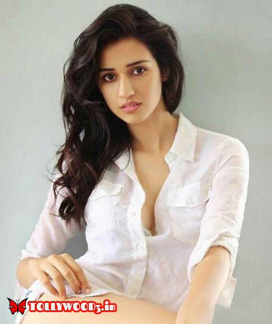 Disha patani Biography Wiki Biodata