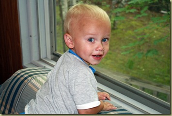 Gavin