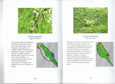Doble página dedicada a las cotorras