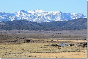 IMG_0228