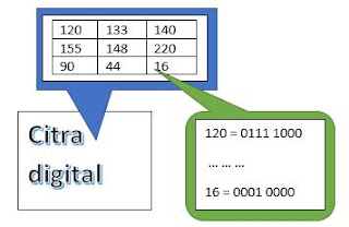 contoh nilai piksel citra digital