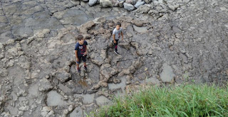 Yacimiento Jurásico de la Playa de la Griega