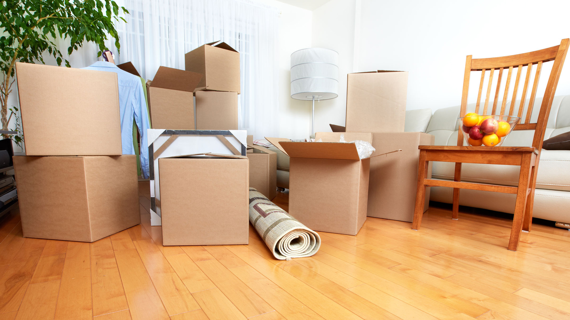 moving company in Newcastle