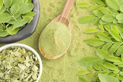 معجزاتی درخت سہانجنہ! 300بیماریوں کا مکمل علاج  moringa oleifera tree health benefits