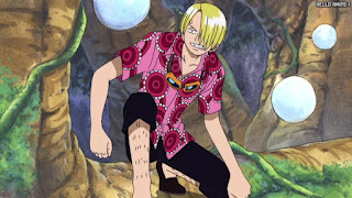 ワンピース アニメ 空島 スカイピア 161話 サンジ Vinsmoke Sanji | ONE PIECE Episode 161 Skypiea