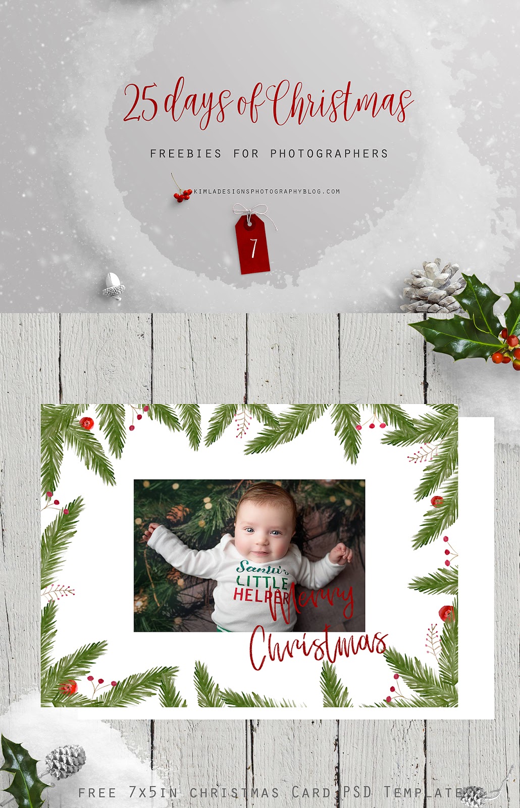 https://blogger.googleusercontent.com/img/b/R29vZ2xl/AVvXsEgzD09T_k7g0izbMR37tXHLTw9pshOpCT1HEHRpmusv6vxIBYURVq1STyiL2jvfkVzVQ6koAa22GRCrXlpf7zxzzqRzdmyUTVCv2TT2TPcrRZeWGpVWsPm3kcqG2N7YwtYRcsdIfb_vdcY/s1600/Free+Watercolor+Christmas+Card+PSD+Template+for+Photographers+by+Kimla+Designs.jpg