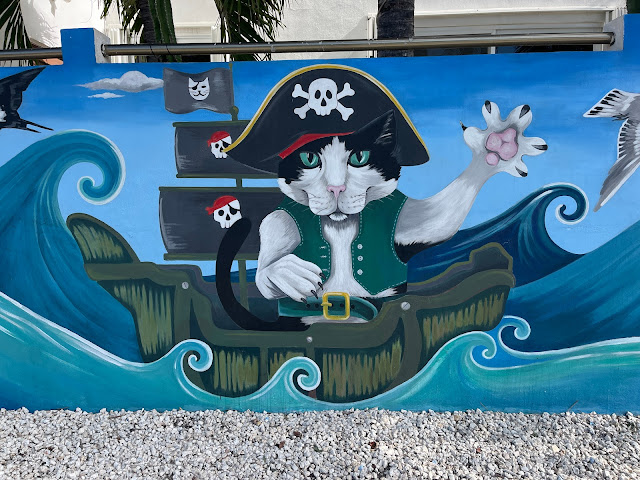 cat pirate mural