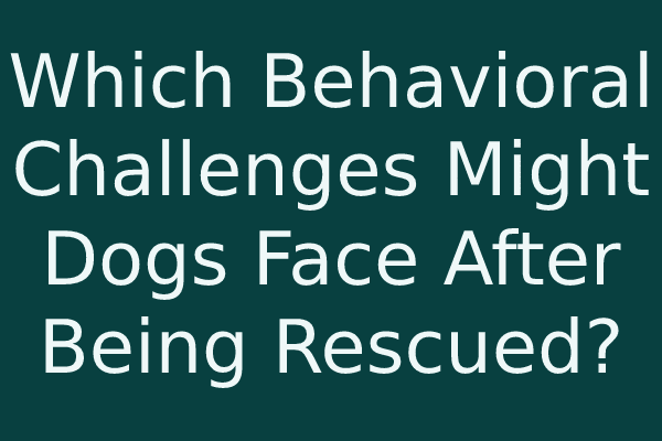 Which Behavioral Challenges Might Dogs Face After Being Rescued?