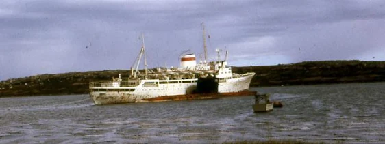 Un Zulú en Malvinas