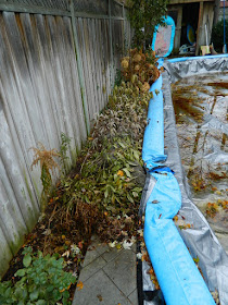 Toronto Gardening Services Bedford Park Garden Fall Clean up before by Paul Jung