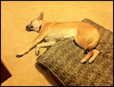 rigby 018