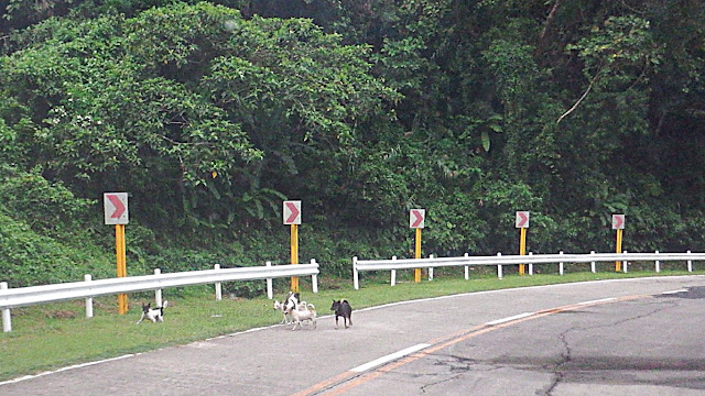 highway going to Lope De Vega Northern Samar