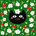 Cats and flowers