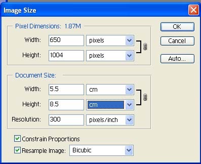 Membuat ID Card Dengan Photoshop - Battle Blog