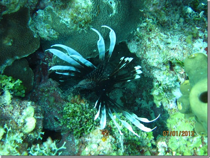 clip_image003