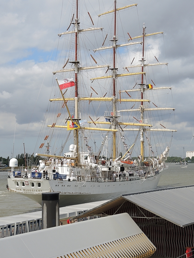 Antwerpen: over de Tall Ship Races en de "verlelijking" van mijn stad