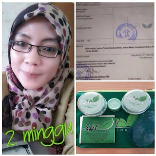 Paket Cream SPL Normal Original