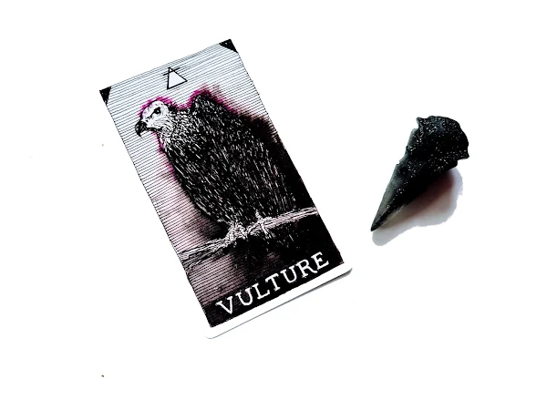 Vulture - The Wild Unknown Animal Spirit Deck