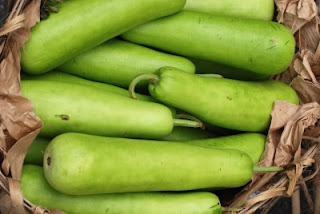 DIET WHAT IT REALLY MEANS!!!!!!!!: Indian summer vegetable - Dudhi (bottle gourd)