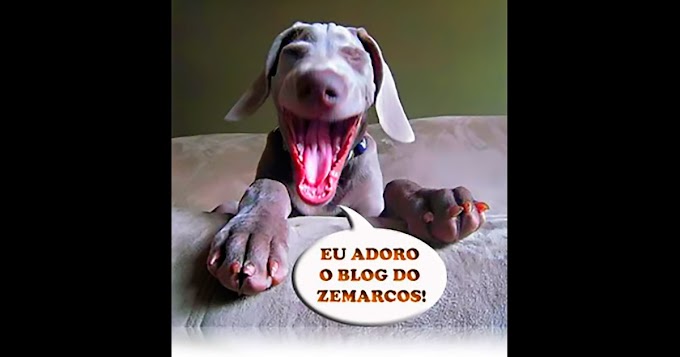 O Blog do Zemarcos é bom pra cachorro!