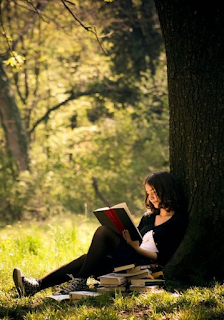 leitura expandi o conhecimento pessoal e intelectual autora gisa santi escritora e poetisa santini01