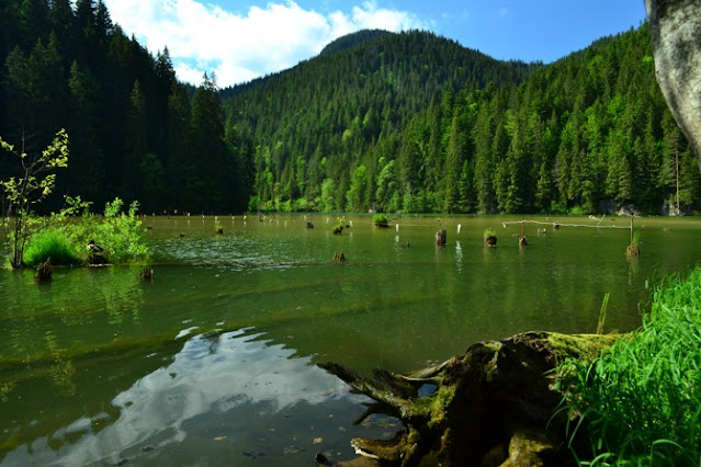 Lacul Rosu v Rumunsku.
