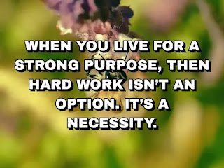 When you live for a strong purpose, then hard work isn’t an option. It’s a necessity.