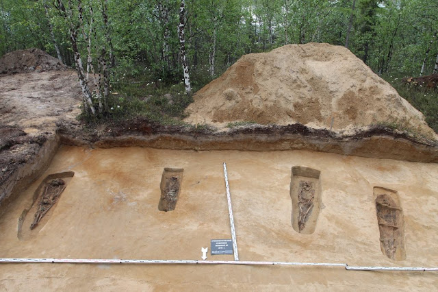  Specialists of the Scientific Center for Arctic Studies establish half-dozen burials inward the Zelenyi  For You Information - Six 13th century burials establish inward Western Siberia