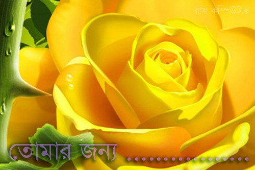 Orkut Scrap - Flowers: 1
