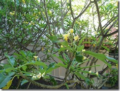 P9210007