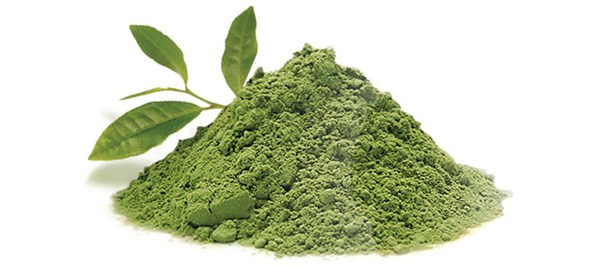 Green Tea Powder