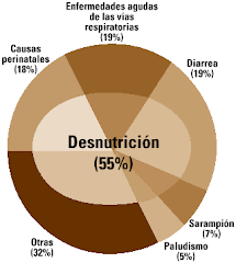 Desnutrición infantil