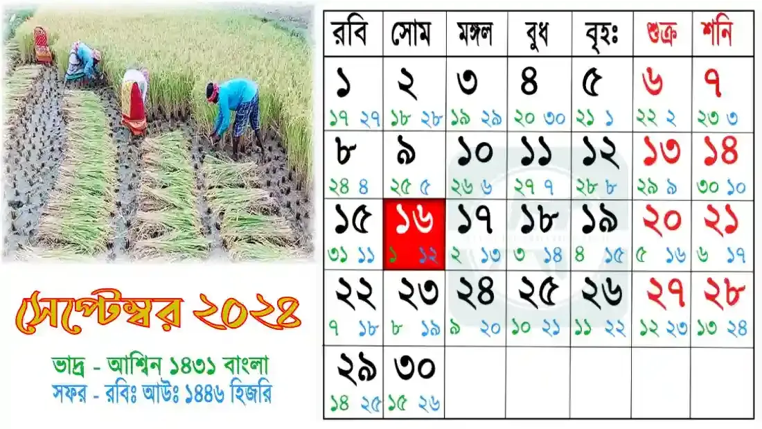 ছবি-১০