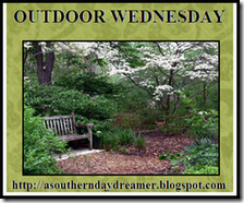 Outdoor Wednesday logo