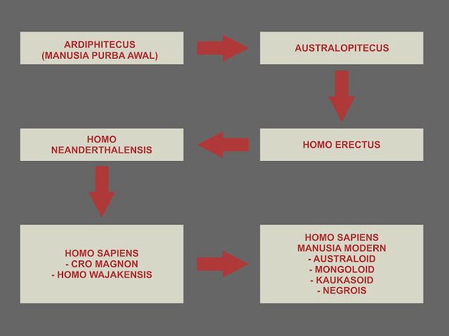 perkembangan manusia purba ke manusia modern