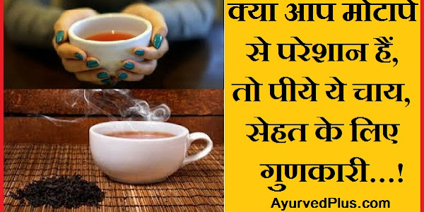 क्या आप मोटापे से परेशान हैं, तो पीये ये चाय, सेहत के लिए गुणकारी…!