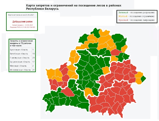 Запрет на посещение лесов