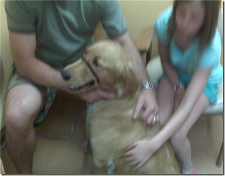 Miley Vet 6