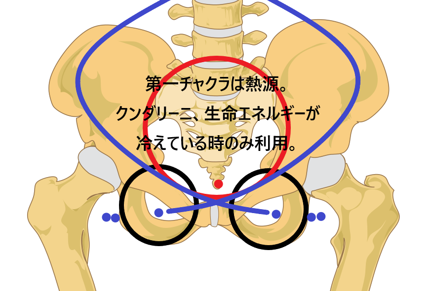 Nr 覚醒と妄想 女性の性エネルギーは2つのboobiesの先端 だけ 彡 真実の愛とは かわいいと思う心まで 瞑想の先に 前編 Nr 覚醒と妄想 女性の性エネルギーは2つのboobiesの先端 だけ 彡 真実の愛とは かわいいと思う心まで 瞑想の先に 前編