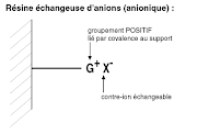 séparation des protéines selon la charge 