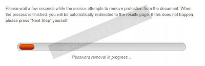 Step 5: Wait for Password Removal to Finish