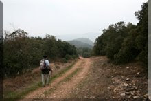 Monótono camino hasta Hereña