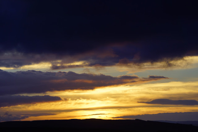 There have been some lovely evening skies on the way home from the nursery