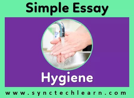 essay on cleanliness in english