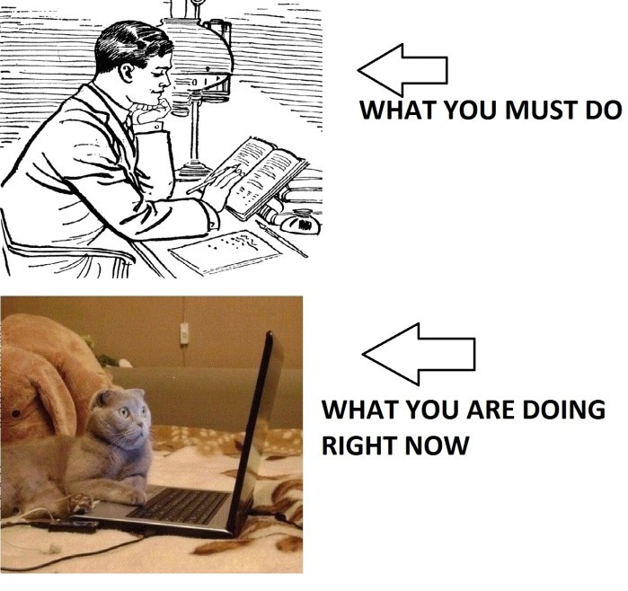 What You Must Do vs. What You Are Doing Right Now