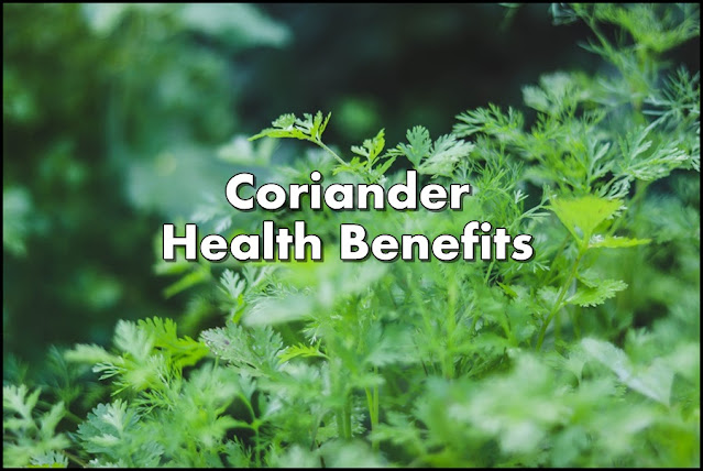 "Coriander Health Benefits"